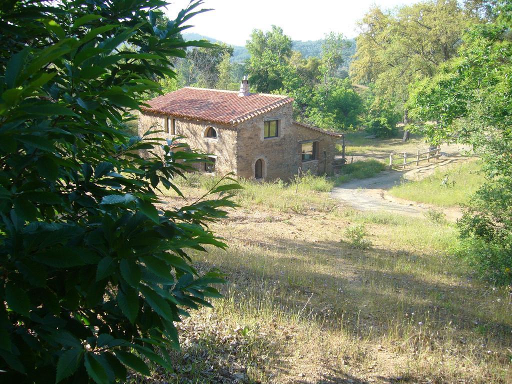 Casas El Alamillo- El Castanero Guest House กาลาโรซา ภายนอก รูปภาพ